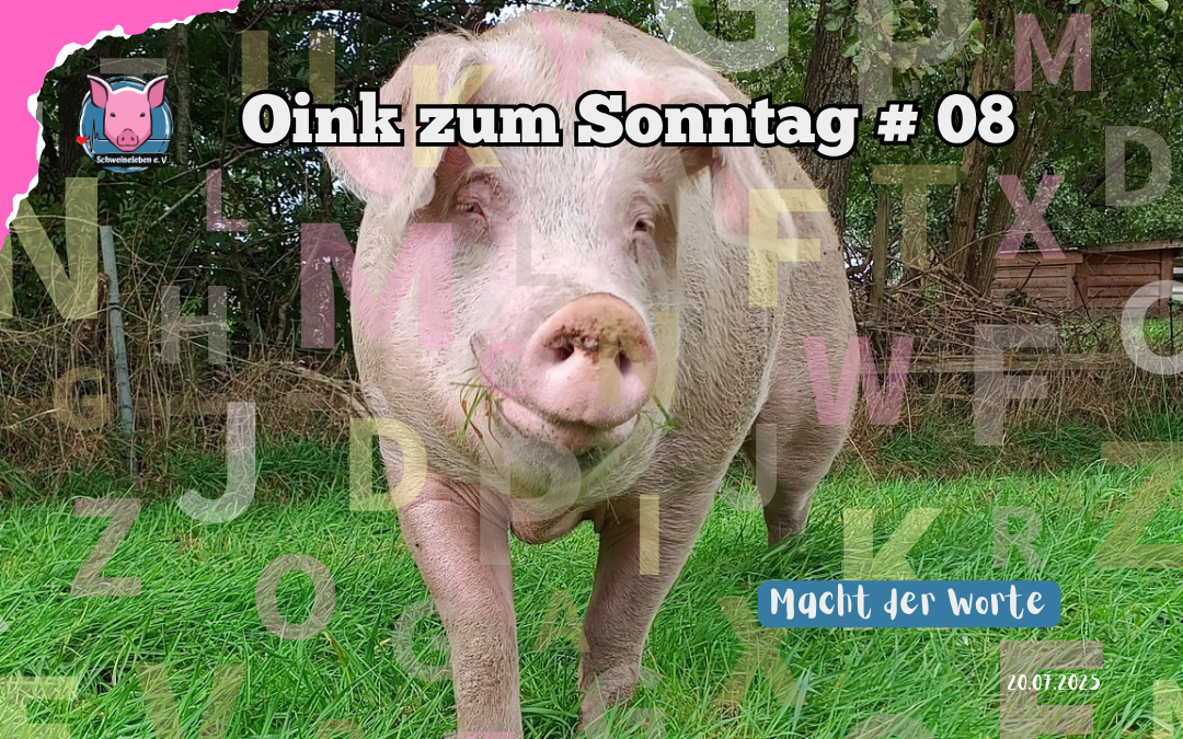 # 08 Oink zum Sonntag – Macht der Worte