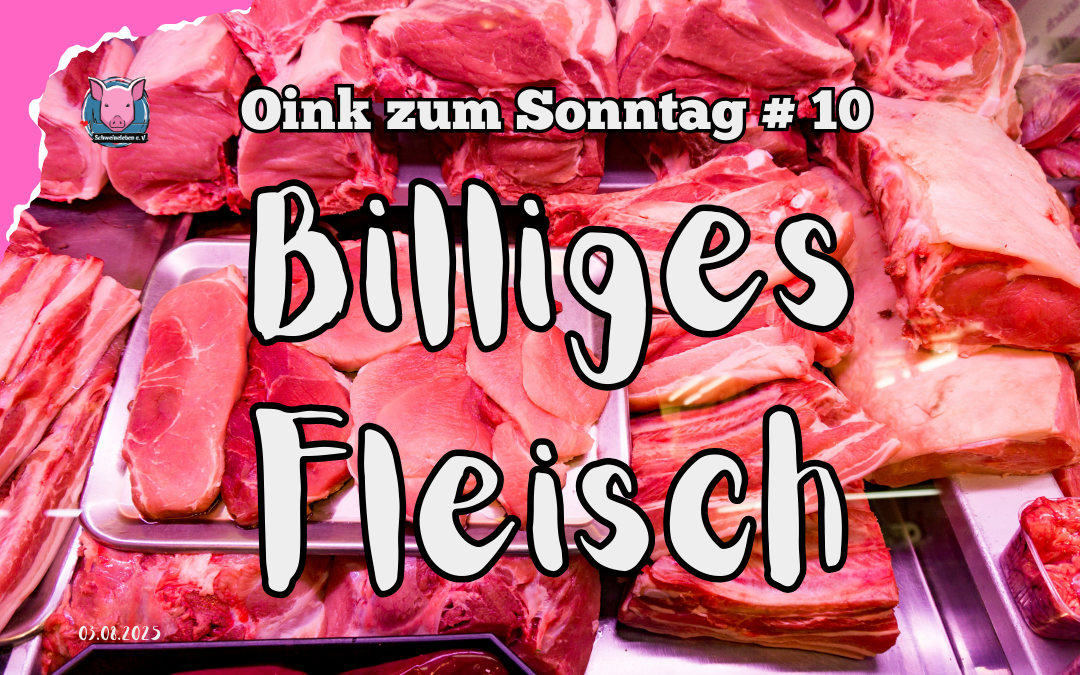 10 Oink zum Sonntag - Billiges Fleisch
