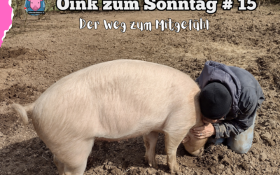 # 15 Oink zum Sonntag – Vom Schnitzel zum Mitgefühl