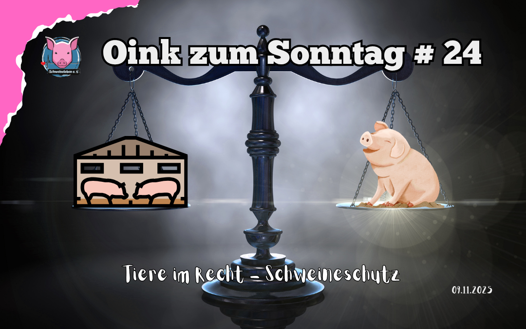 Schweine und Gesetze