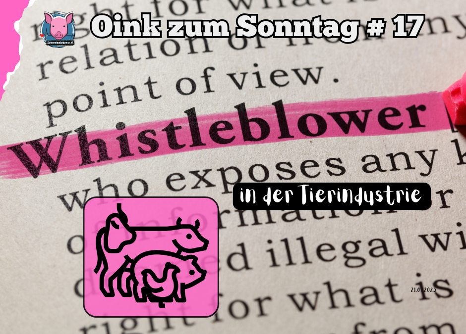 Was keiner sehen soll - Whistleblower im Tierschutz