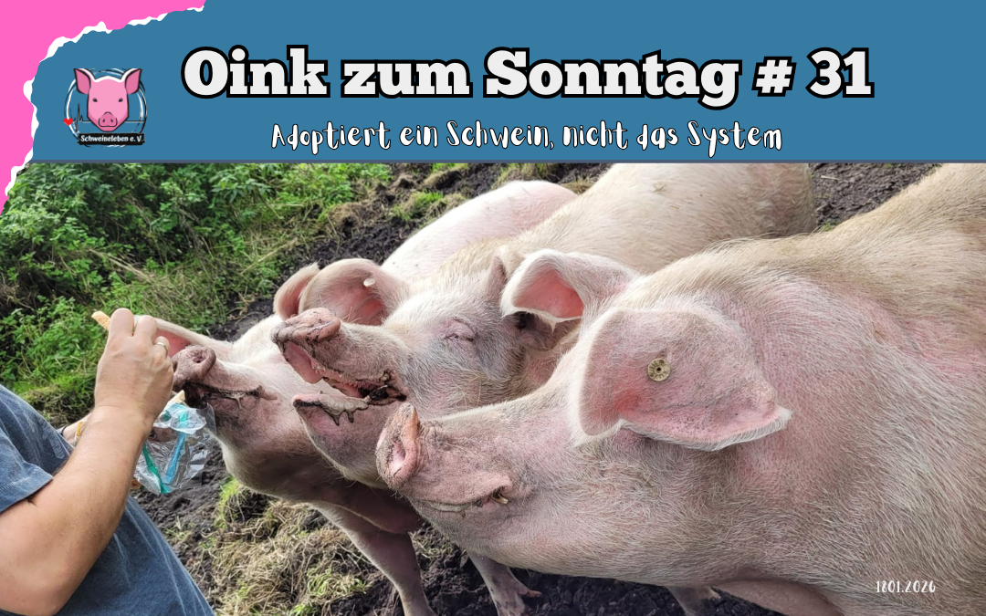 Patenschaften - Adoptieren statt das System