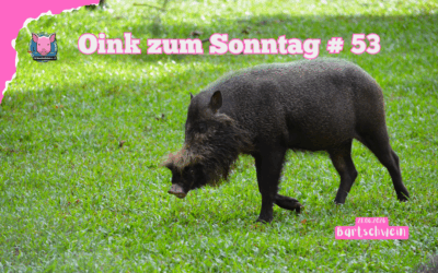 # 53 Oink zum Sonntag – Radikalität