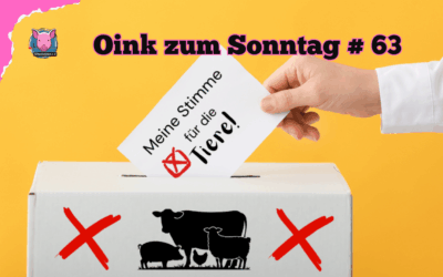 # 63 Oink zum Sonntag – Wahlen und Tierschutz