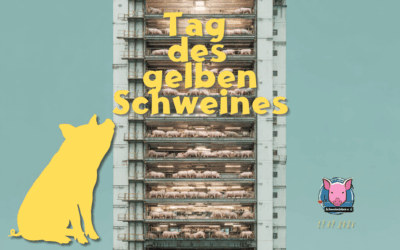 17.07.2026 – Tag des gelben Schweines