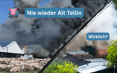Nie wieder Alt Tellin – Wirklich?