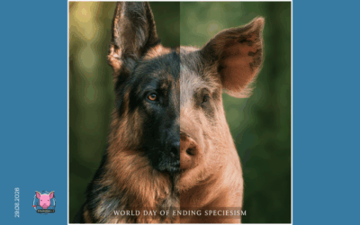29.08.2026 – Word Day of Ending Speciesism