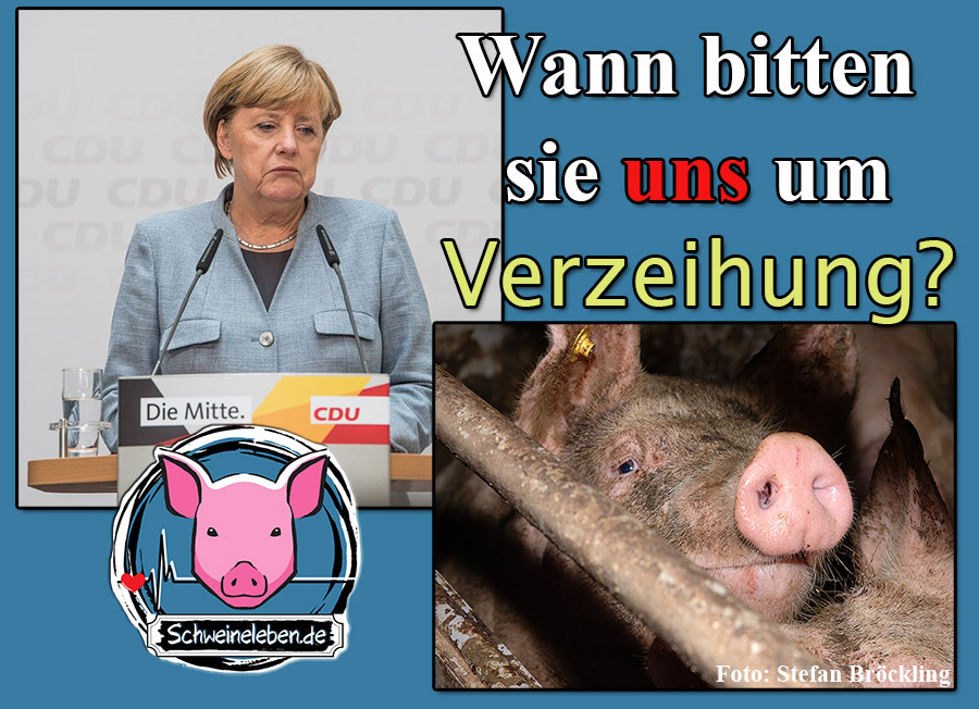 Frau Merkel und der Tierschutz
