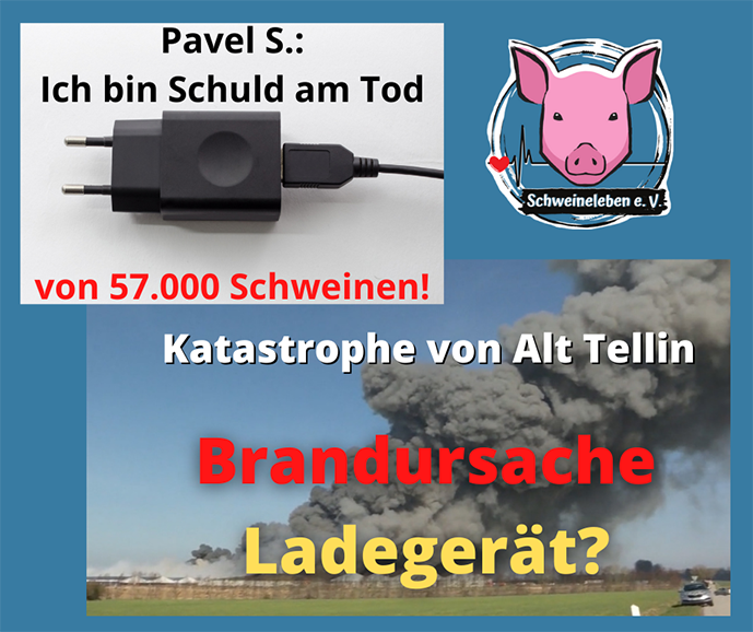 57.000 Schweine klagen weiter an!