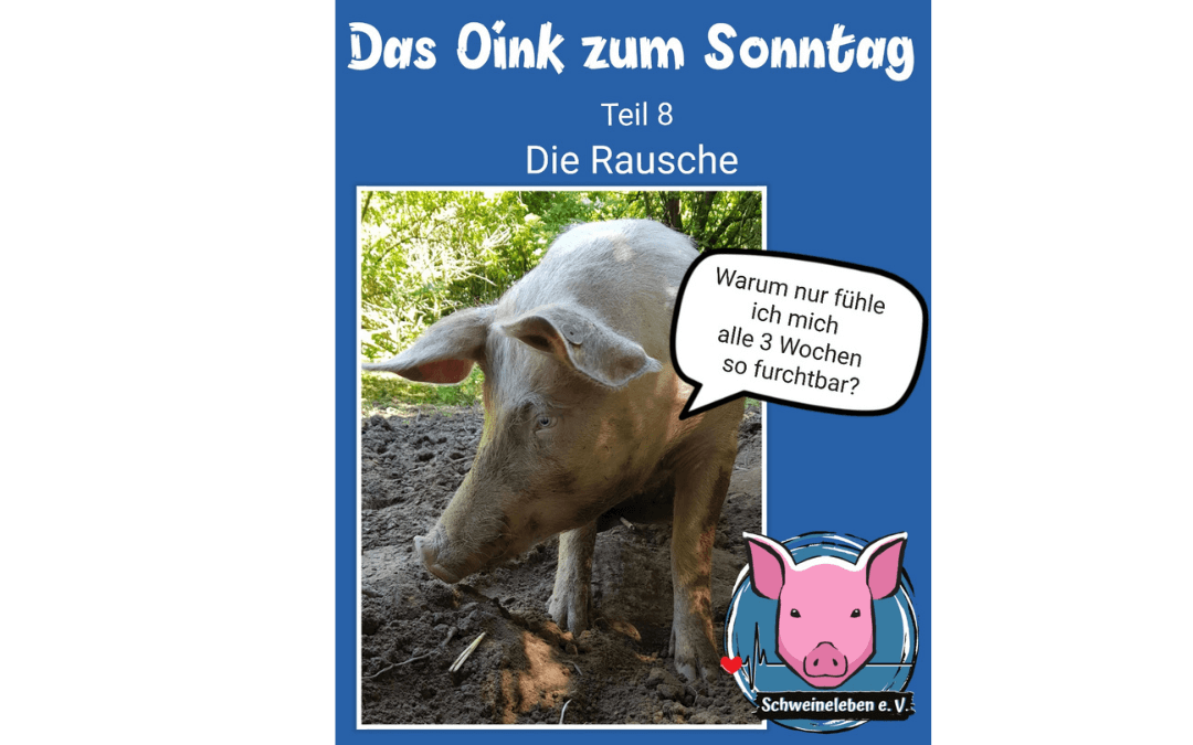 Das Oink zum Sonntag (Teil 8) – Freya und die Rausche (von Conny Unterberg)