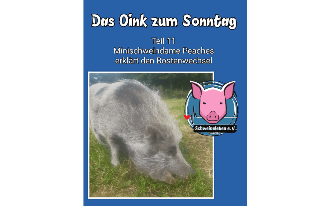 Das Oink zum Sonntag (Teil 11) – Peaches erzählt vom Borstenwechsel (von Kerstin Hinrichs)