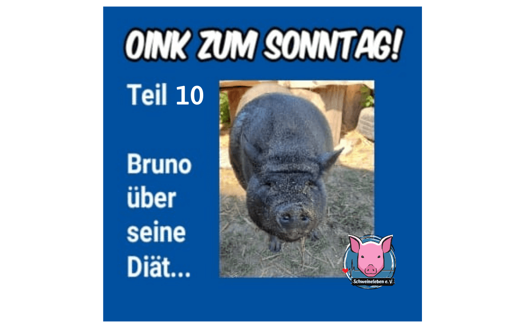 Das Oink zum Sonntag - Bruno über seine Diät