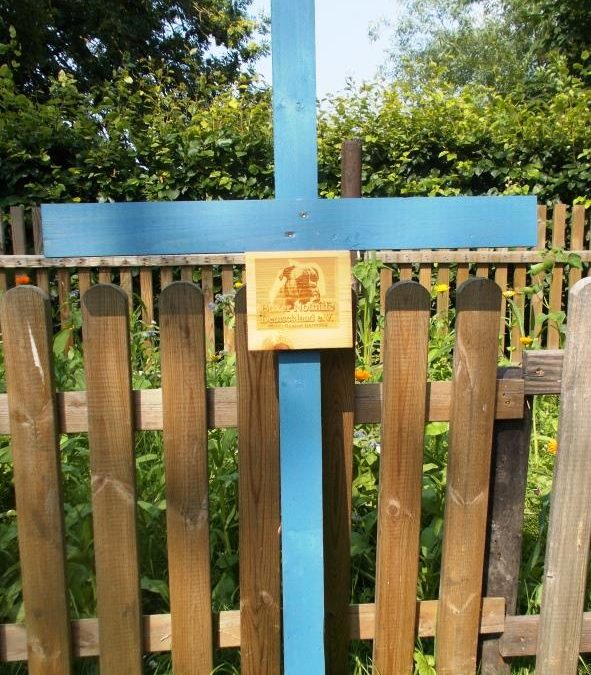 Gedenkstätte Alt Tellin – Kreuzaktion – Vielen Dank der Boxernothilfe Deutschland e. V.