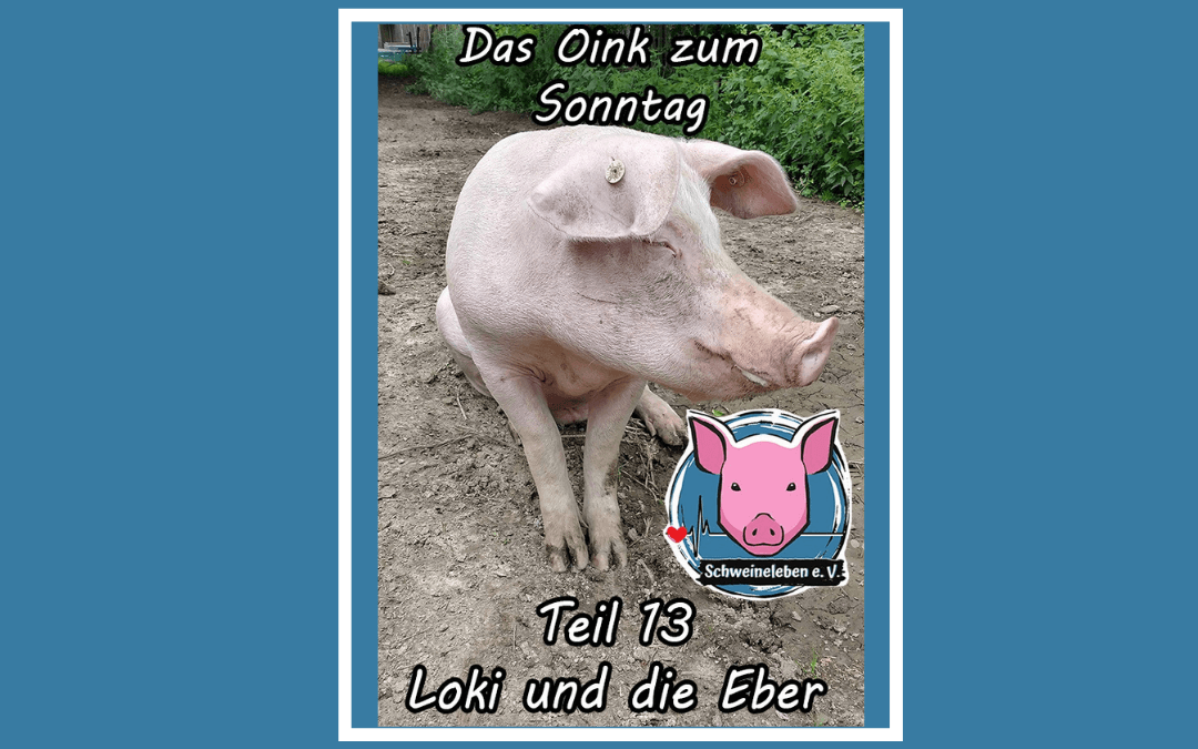 Das Oink zum Sonntag (Teil 13) – Loki und die Eber (von Jörg Kipka)