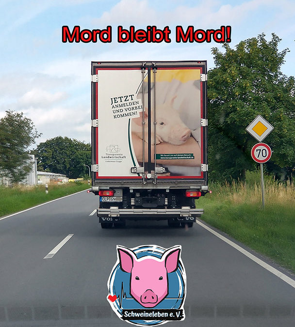 Die Autobahn A 31 und die Qualen der Schweine