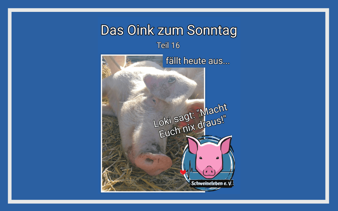 Das Oink zum Sonntag (Teil 16) – … fällt aus (von Conny Unterberg)