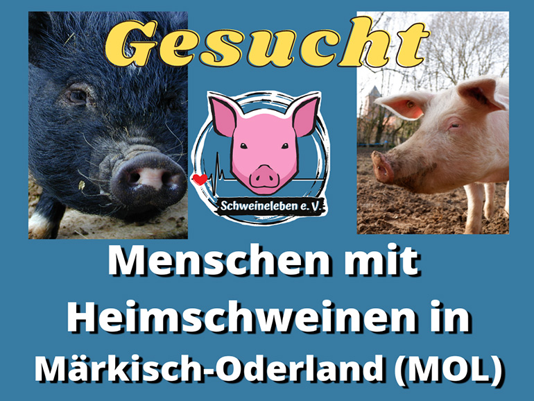 An alle Menschen mit Schweinen im Landkreis Märkisch-Oderland