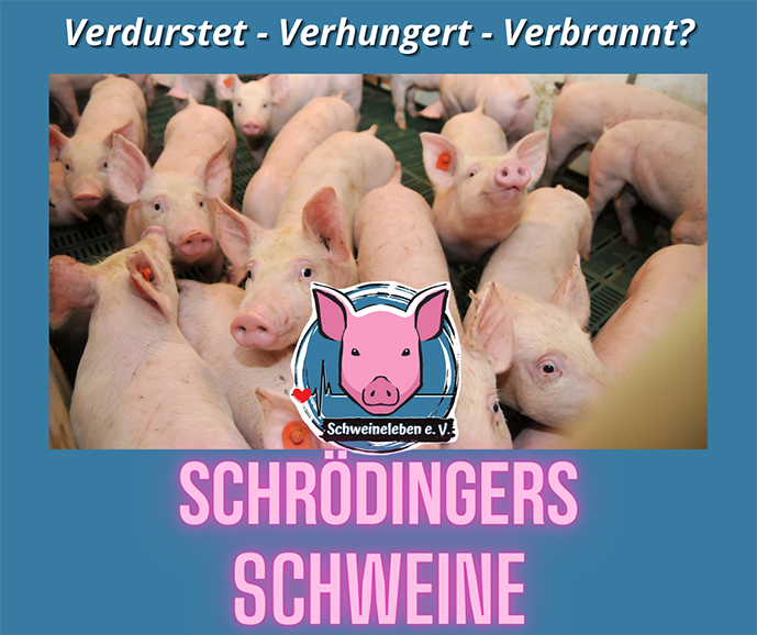 Schrödingers Schweine
