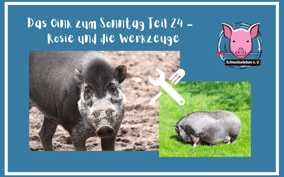 Das Oink zum Sonntag (Teil 24) – Rosie und das Werkzeug (von Sabine Kipka)