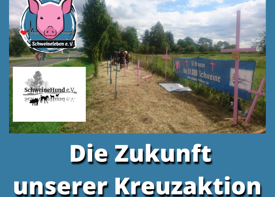 Die Zukunft der Kreuze für die Schweine von Alt Tellin