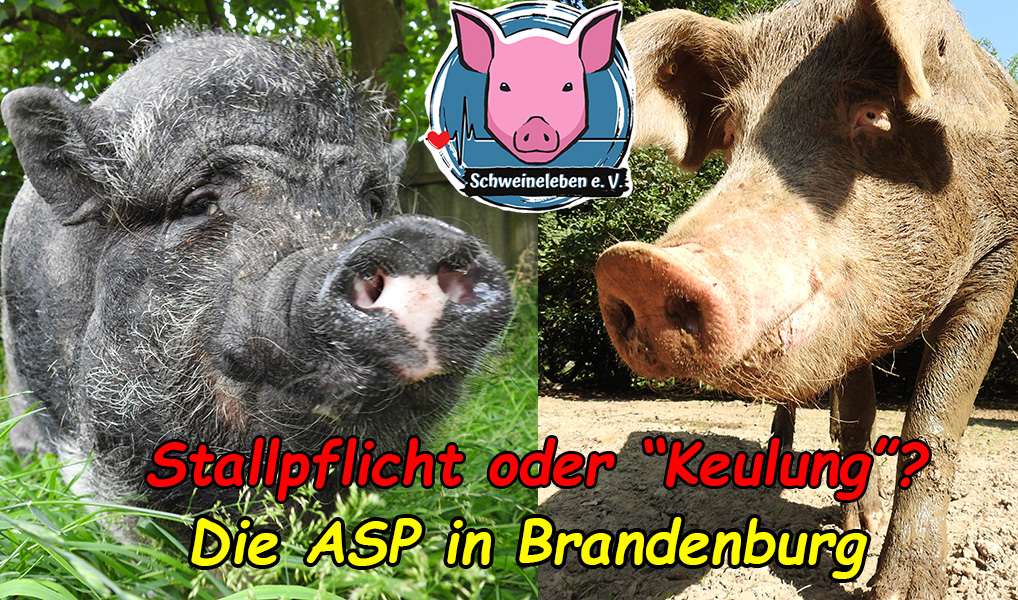 Brandenburg ist (bald?) überall…