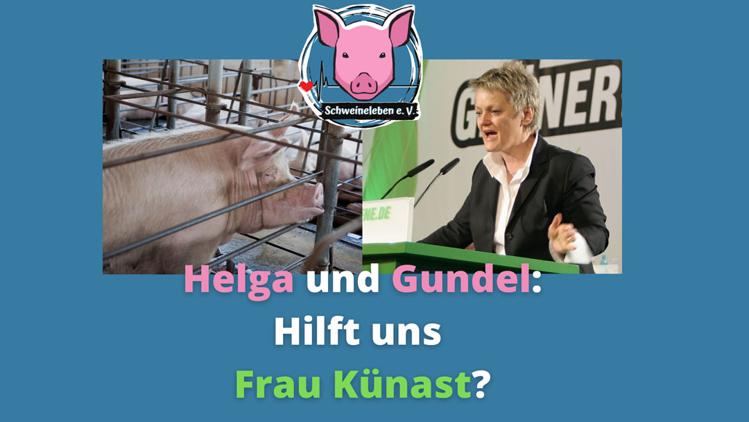 Hilfe für die Schweine durch Frau Renate Künast?