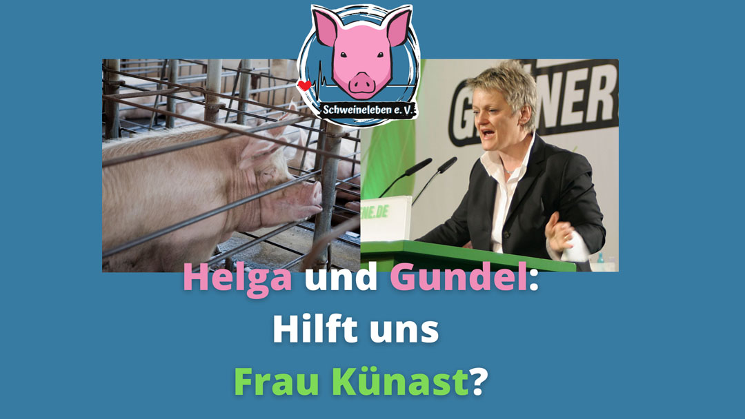 Helga und Gundel – zwei überlebende Schweine aus Alt Tellin  – Teil 4