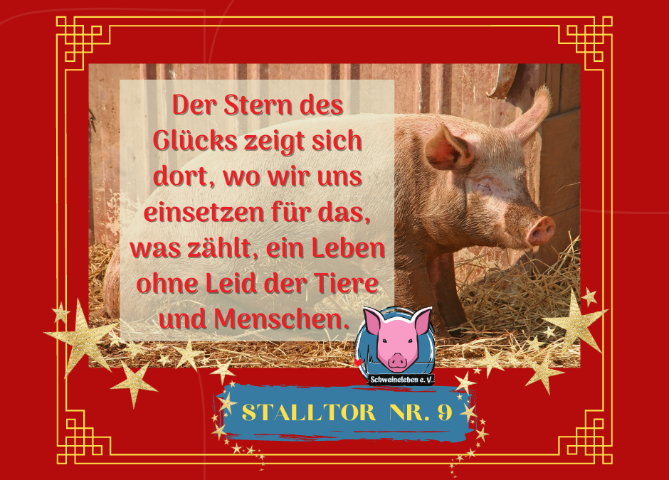 Schweineleben – Adventskalender: Stalltor Nr. 9
