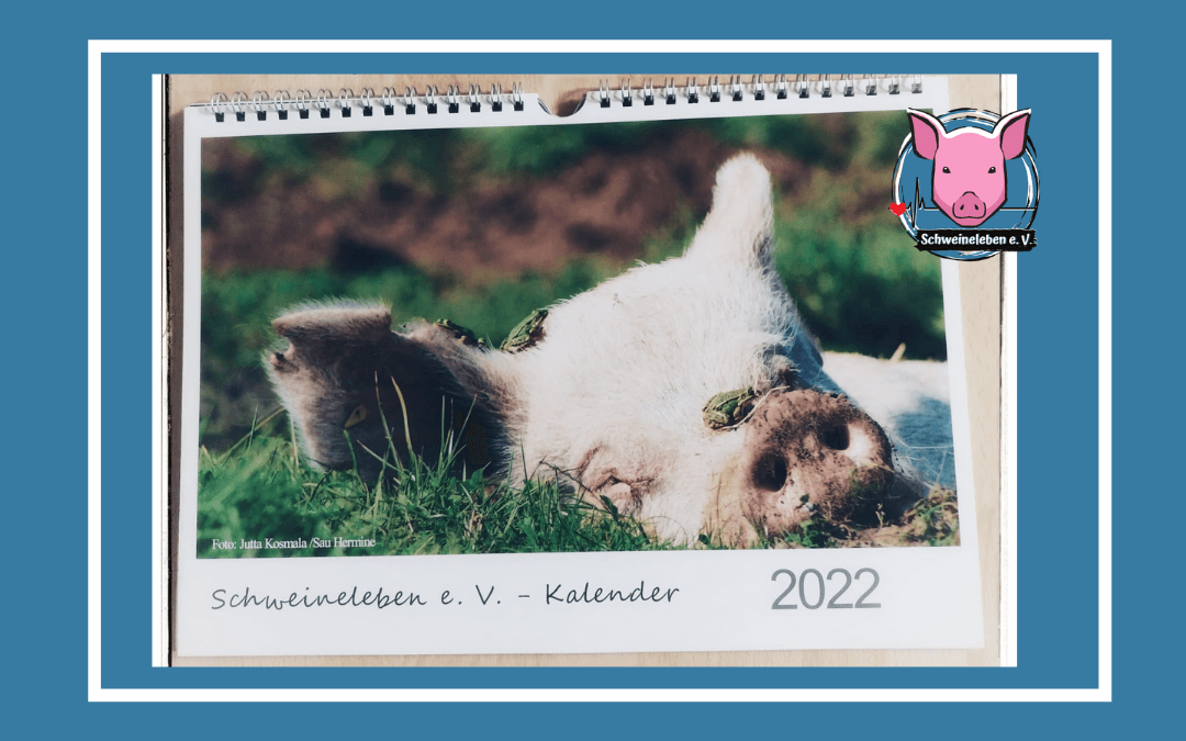 Schweineleben e. V. - Schweinekalender 2022