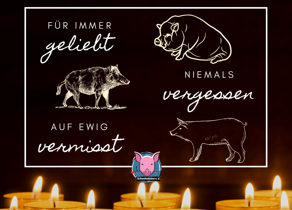 Wir gedenken der Schweine an Allerseelen