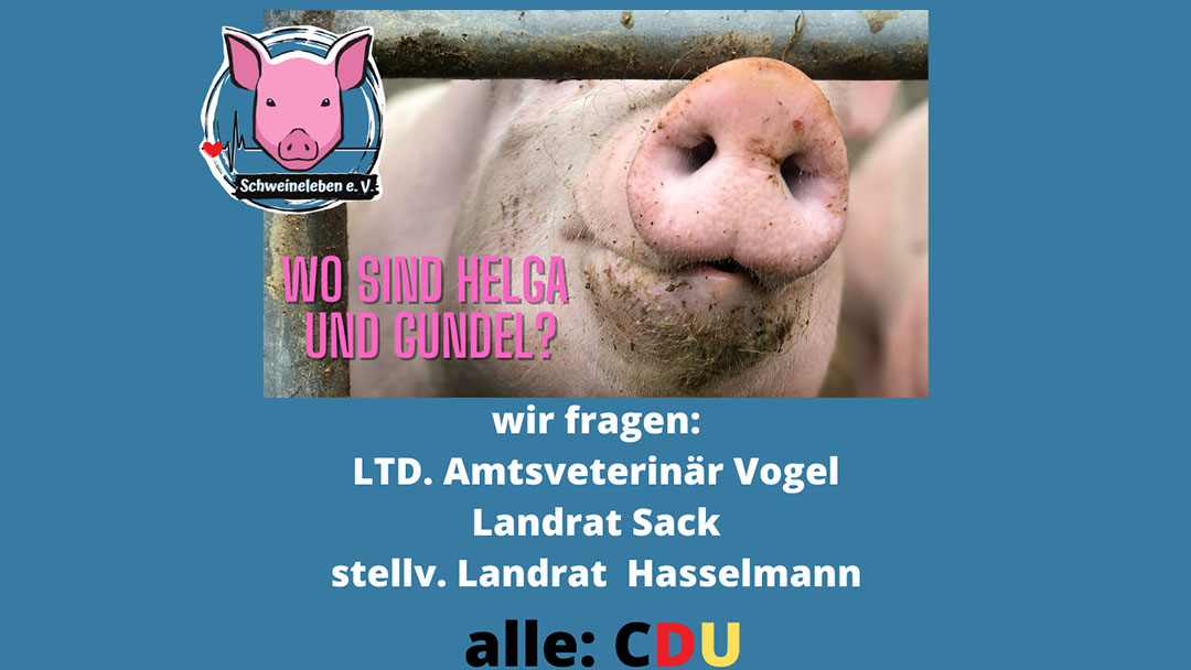 Helga und Gundel – zwei Schweine aus Alt Tellin (Teil 3)