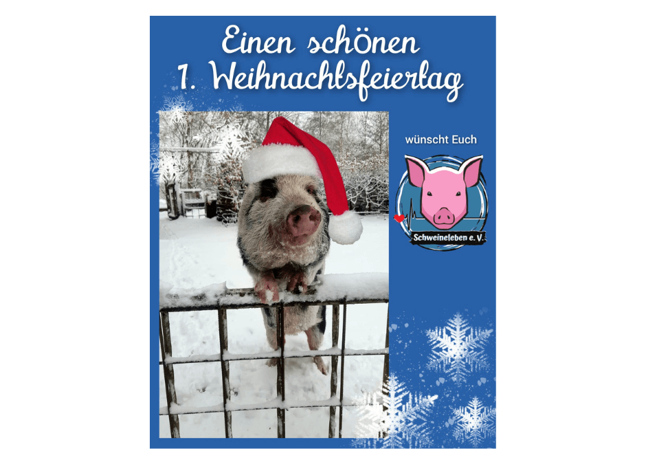 Schweineleben e. V. wünscht einen schönen 1. Weihnachtsfeiertag