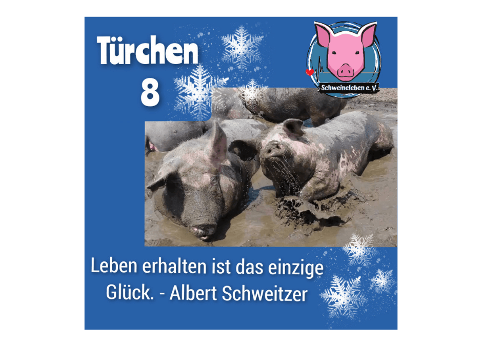 Schweineleben e. V. – Adventskalender: Stalltor Nr. 08