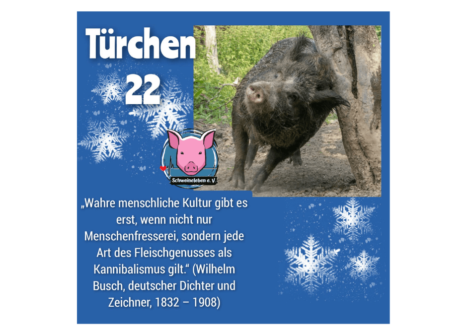 Schweineleben e. V. – Adventskalender: Stalltor Nr. 22