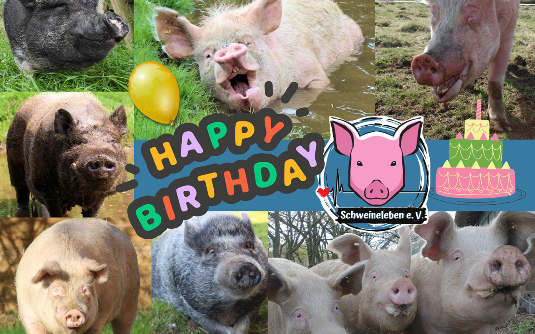 Schweineleben e. V. feiert Geburtstag