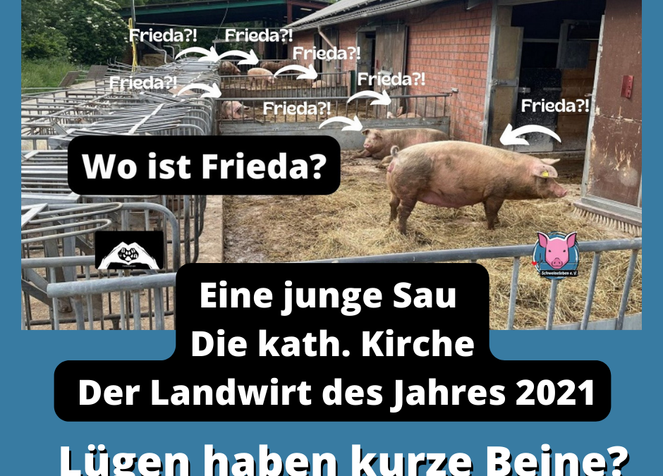 Wo steckt Sau Frieda? Lügt die Kirche und der Stautenhof?