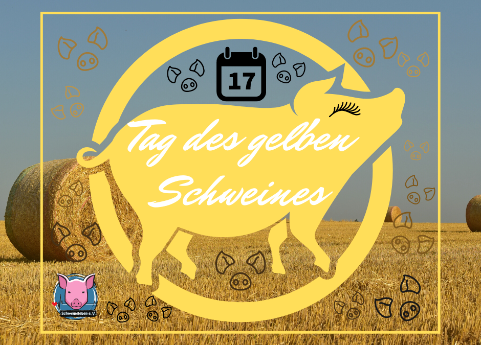 Yellow Pig Day – Tag des gelben Schweines