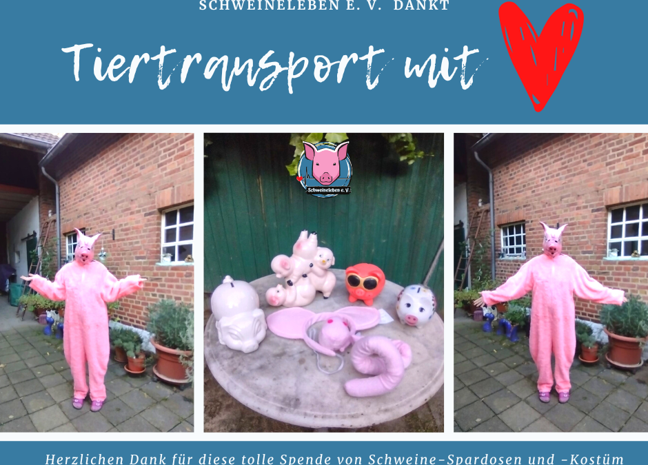 Sie haben schweinische Post – von Tiertransport mit Herz – die Fahrt mit guter Tat