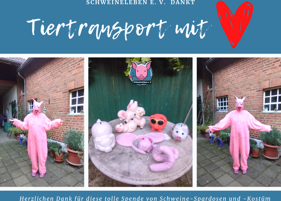 Tiertransport mit Herz - Schweineleben e. V.