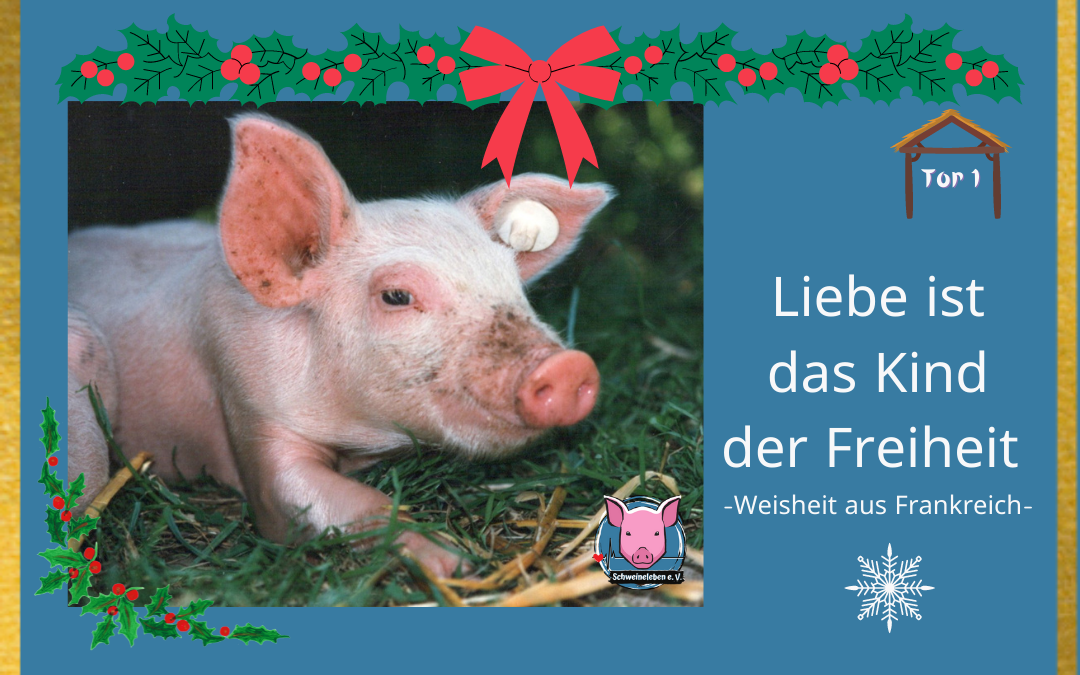 Adventskalender – Stalltor 1