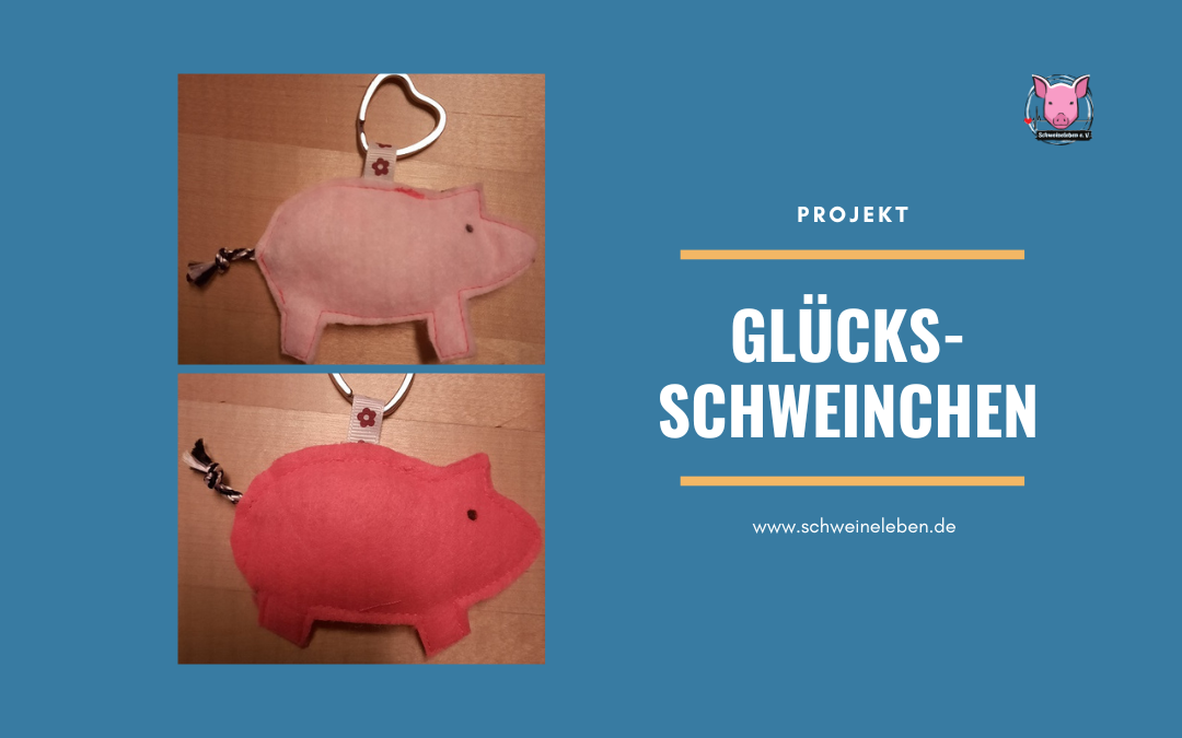 Projekt Glücksschweinchen – Spenden für das Schweineseniorenheim