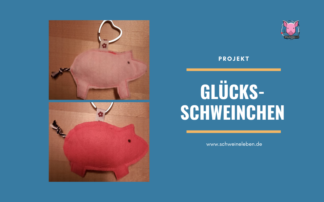 Projekt Glücksschweinchen - Spenden für das Schweineseniorenheim ...