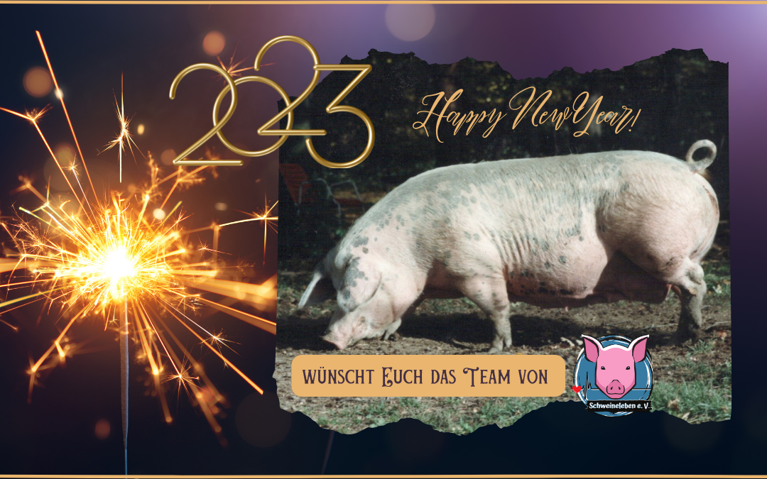 Frohes neues Jahr 2023 –  Tag des Glückschweins