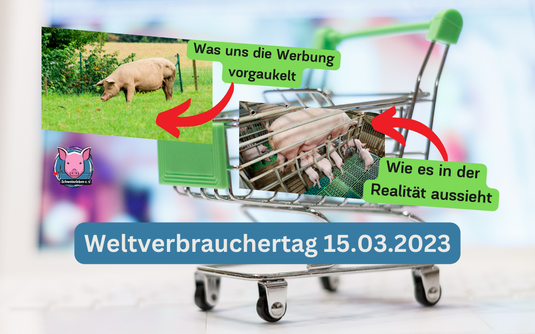 Weltverbrauchertag 2023