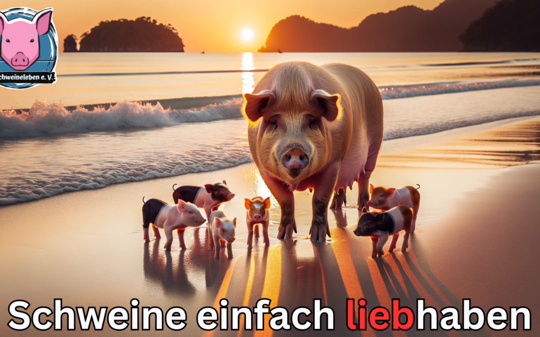 Schweinemutter mit Nachwuchs am Strand.