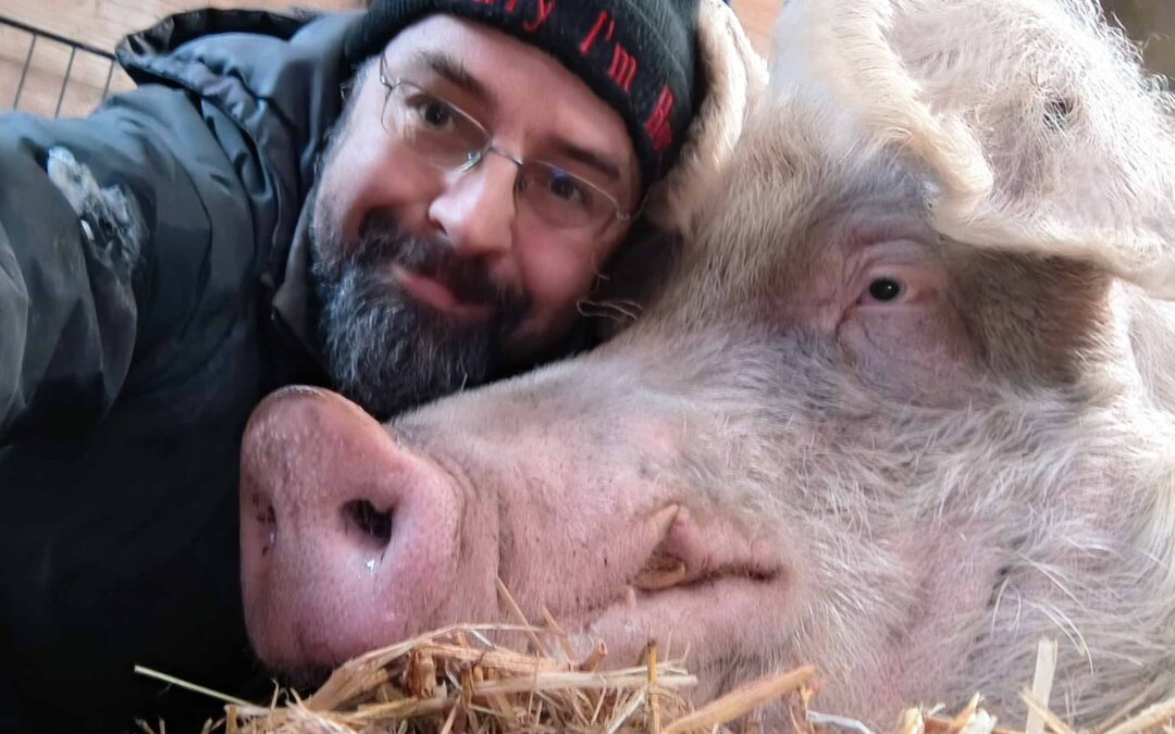 Eber Gandhi mit Schweinepapa Jörg