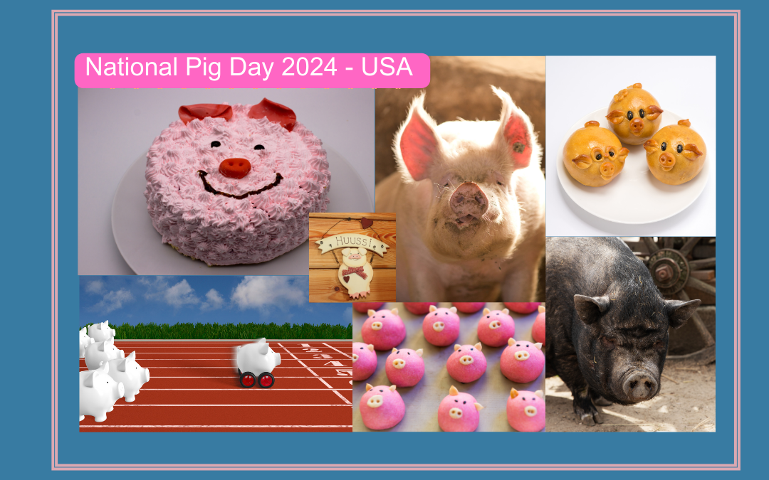 Nationaler Tag des Schweines in den USA - National Pig Day
