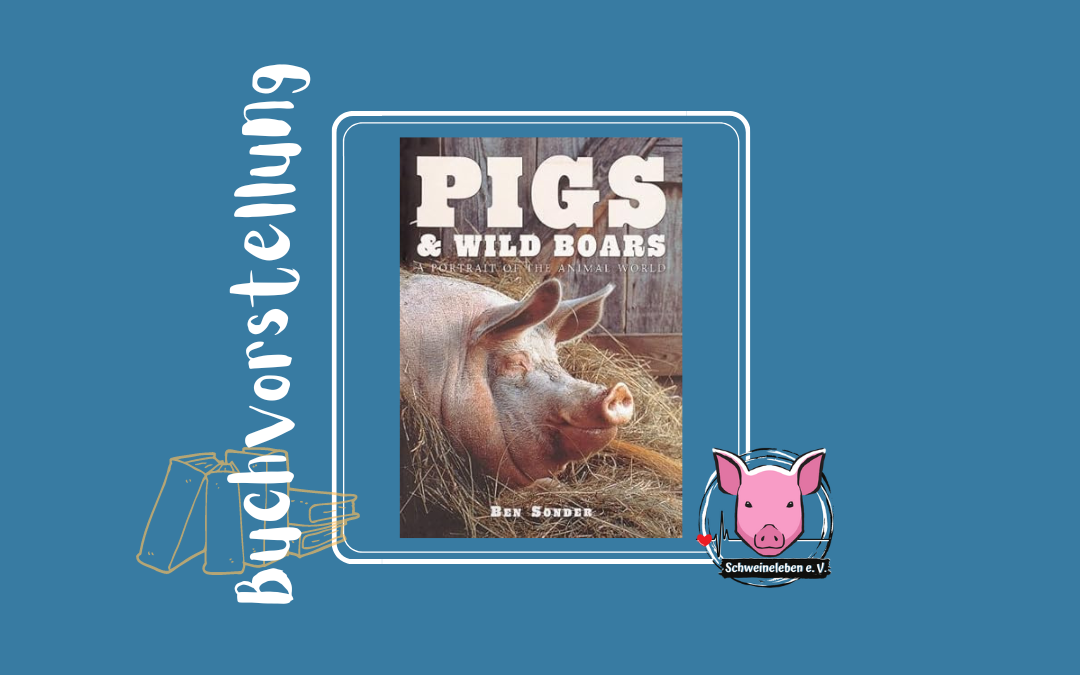 Buchvorstellung - Pigs and Wild Boars v. Ben Sonder