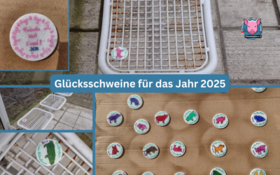 Glücksschweine für das Jahr 2025