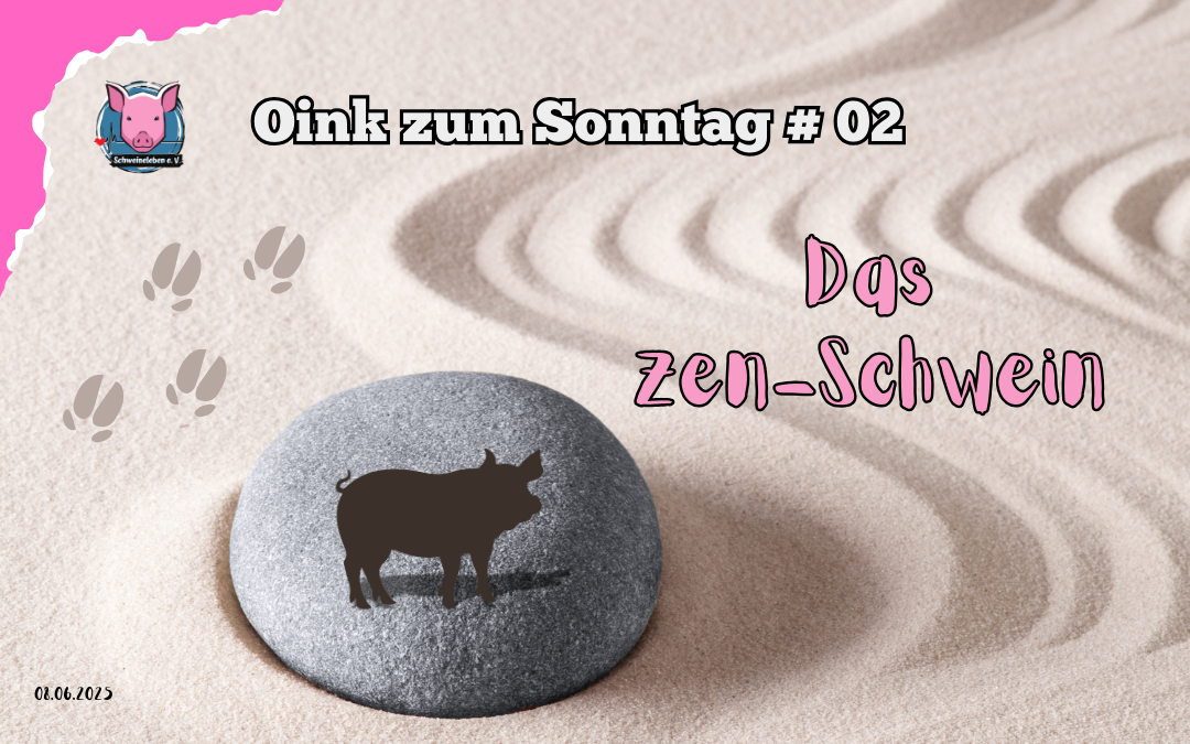 #02 Oink zum Sonntag - Zen-Schwein